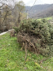 Photo of this report