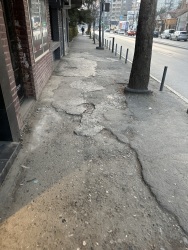 Photo of this report