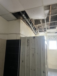 Photo of this report