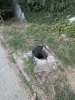 Ujëra të zeza